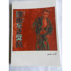 Andy Warhol Litografia off set edizione 125 cm 35x50