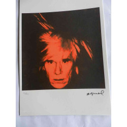 Andy Warhol Lithographie édition hors set 125 cm 35x50
