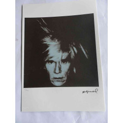 Andy Warhol Lithographie édition hors set 125 cm 35x50