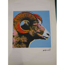 Andy Warhol Lithografie off-set editie 100 cm 57x38