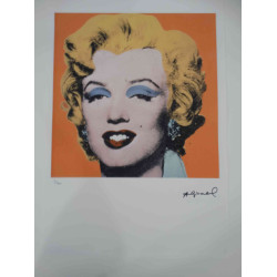 Andy Warhol Off set lithograph 100 cm edition 57x38