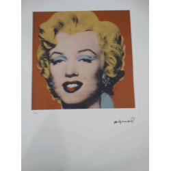 Andy Warhol Off set lithograph 100 cm edition 57x38