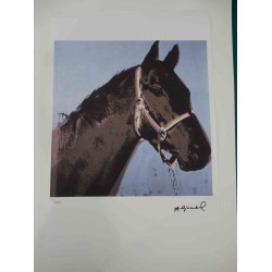 Andy Warhol Lithografie off-set editie 100 cm 57x38