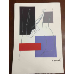 Andy Warhol Lithografie off-set editie 100 cm 57x38