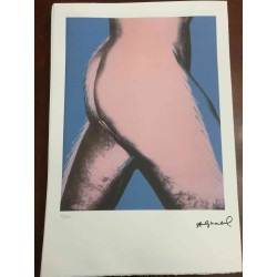 Andy Warhol Lithografie off-set editie 100 cm 57x38