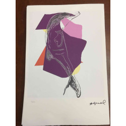 Andy Warhol Off set lithograph 100 cm edition 57x38