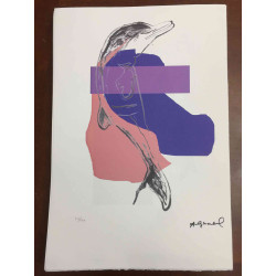 Andy Warhol Lithografie off-set editie 100 cm 57x38