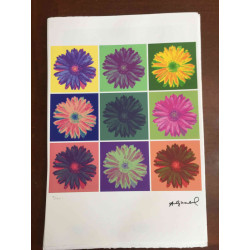 Andy Warhol Off set lithograph 100 cm edition 57x38