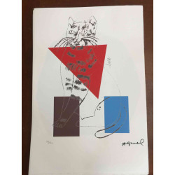 Andy Warhol Lithografie off-set editie 100 cm 57x38