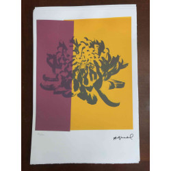 Andy Warhol Off set lithograph 100 cm edition 57x38