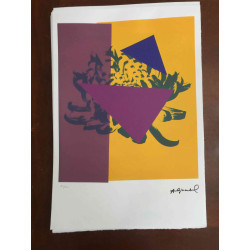 Andy Warhol Off set lithograph 100 cm edition 57x38