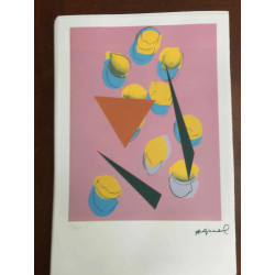 Andy Warhol Lithografie off-set editie 100 cm 57x38