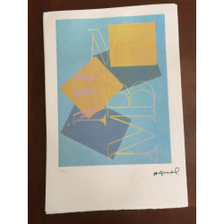 Andy Warhol Lithografie off-set editie 100 cm 57x38