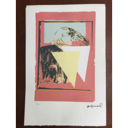 Andy Warhol Off set lithograph 100 cm edition 57x38