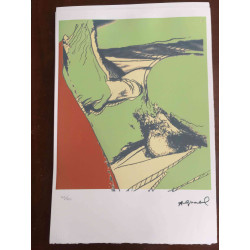 Andy Warhol Off set lithograph 100 cm edition 57x38