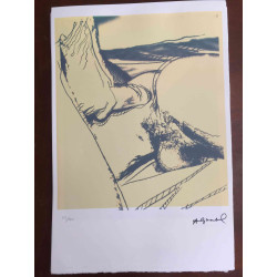 Andy Warhol Lithographie édition hors set 100 cm 57x38