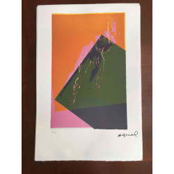 Andy Warhol Litografia off set edizione 100  cm 57x38