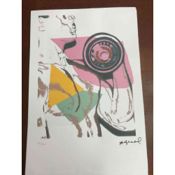 Andy Warhol Lithografie off-set editie 100 cm 57x38
