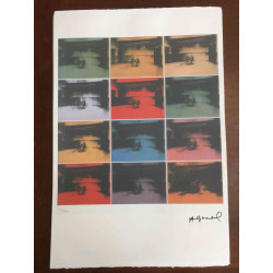Andy Warhol Off set lithograph 100 cm edition 57x38