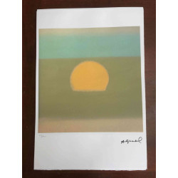 Andy Warhol Litografia off set edició 100 cm 57x38