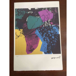 Litografie Andyho Warhola ofsetová edice 100 cm 57x38