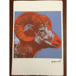 Andy Warhol Litografia off set edizione 100  cm 57x38