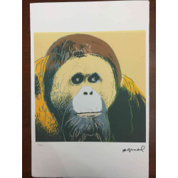 Andy Warhol Litografía edición off set 100 cm 57x38