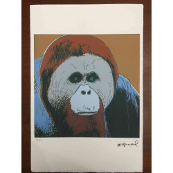 Andy Warhol Off set lithograph 100 cm edition 57x38
