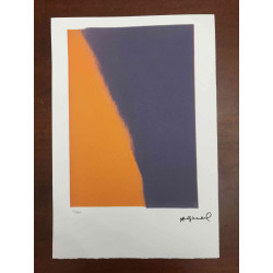 Andy Warhol Lithografie off-set editie 100 cm 57x38