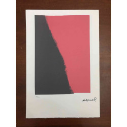 Litografia Andyho Warhola offsetová edícia 100 cm 57x38