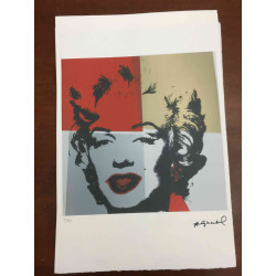 Andy Warhol Lithografie off-set editie 100 cm 57x38