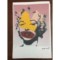 Andy Warhol Lithographie édition hors set 100 cm 57x38