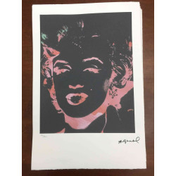 Andy Warhol Off set lithograph 100 cm edition 57x38
