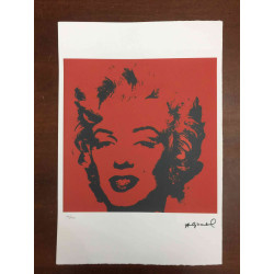 Andy Warhol Litografía edición off set 100 cm 57x38
