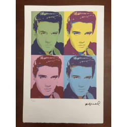 Andy Warhol Off set lithograph 100 cm edition 57x38