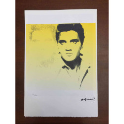 Andy Warhol Litografia off set editie 100 cm 57x38