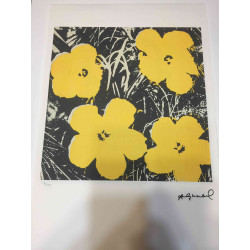 Andy Warhol Lithographie édition hors set 100 cm 57x38