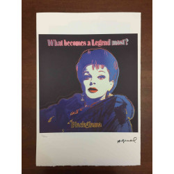 Andy Warhol Off set lithograph 100 cm edition 57x38