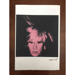 Andy Warhol Off set lithograph 100 cm edition 57x38