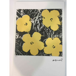 Andy Warhol Litografia off set edició 100 cm 57x38