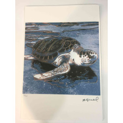 Andy Warhol Litografia off set edizioa 100 cm 57x38