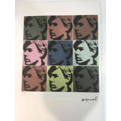 Andy Warhol Litografia off set editie 100 cm 57x38