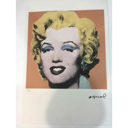 Andy Warhol Litografia edição off set 100 cm 57x38