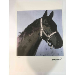 Andy Warhol Off set lithograph 100 cm edition 57x38