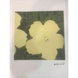 Andy Warhol Lithographie édition hors set 100 cm 57x38