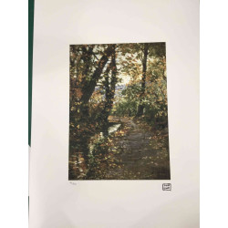 Egon Schiele Lithographie Off-Set-Edition 200 cm 50x70