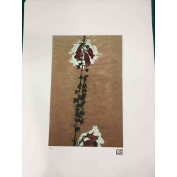 Egon Schiele Lithographie Off-Set-Edition 200 cm 50x70