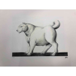 Fernando Botero Lithografie off set 50x65 cm gecertificeerd