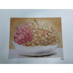 Fernando Botero Lithografie off set 50x65 cm gecertificeerd