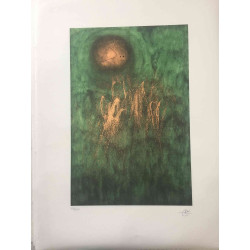 Litografia Joan Miro off set 56x76 cm certificada